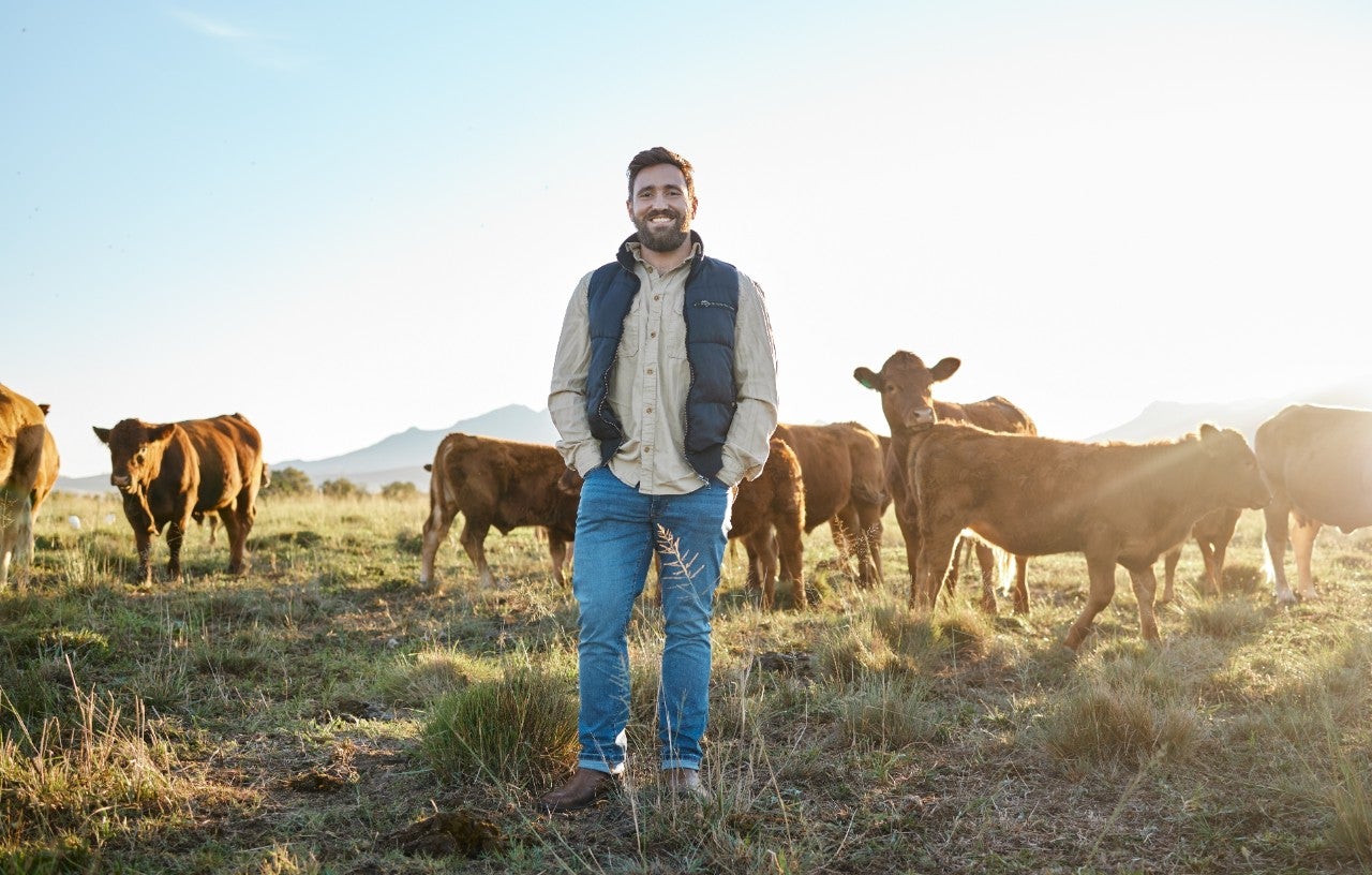 Sustainability, farming and portrait of man with cows on field, happy farmer in countryside with dairy and beef production. Nature, meat and milk farm, sustainable business in agriculture and food