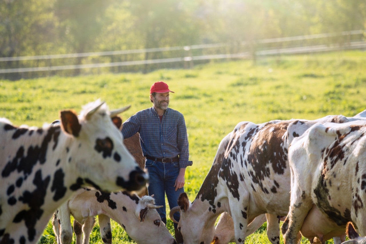Farmer smiling at the camera, in his field in the middle of his herd of cows